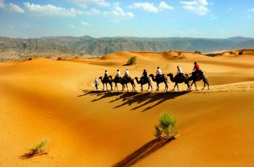 一队商人骑着骆驼在沙漠里行走,突然空中传来一个神秘的声音:"抓